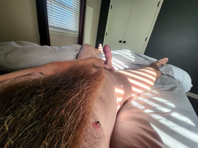 Spend the day in bed with me?!?