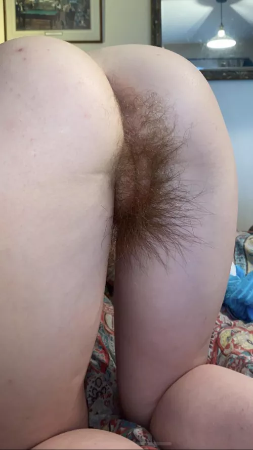 Spend the day licking me out?