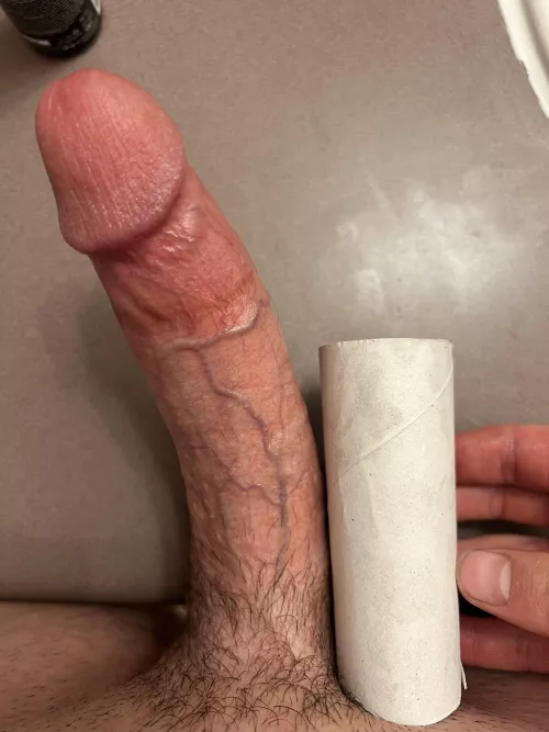 Towering the tp roll