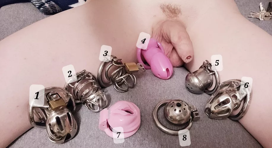 Which cage should I use the entire next week?