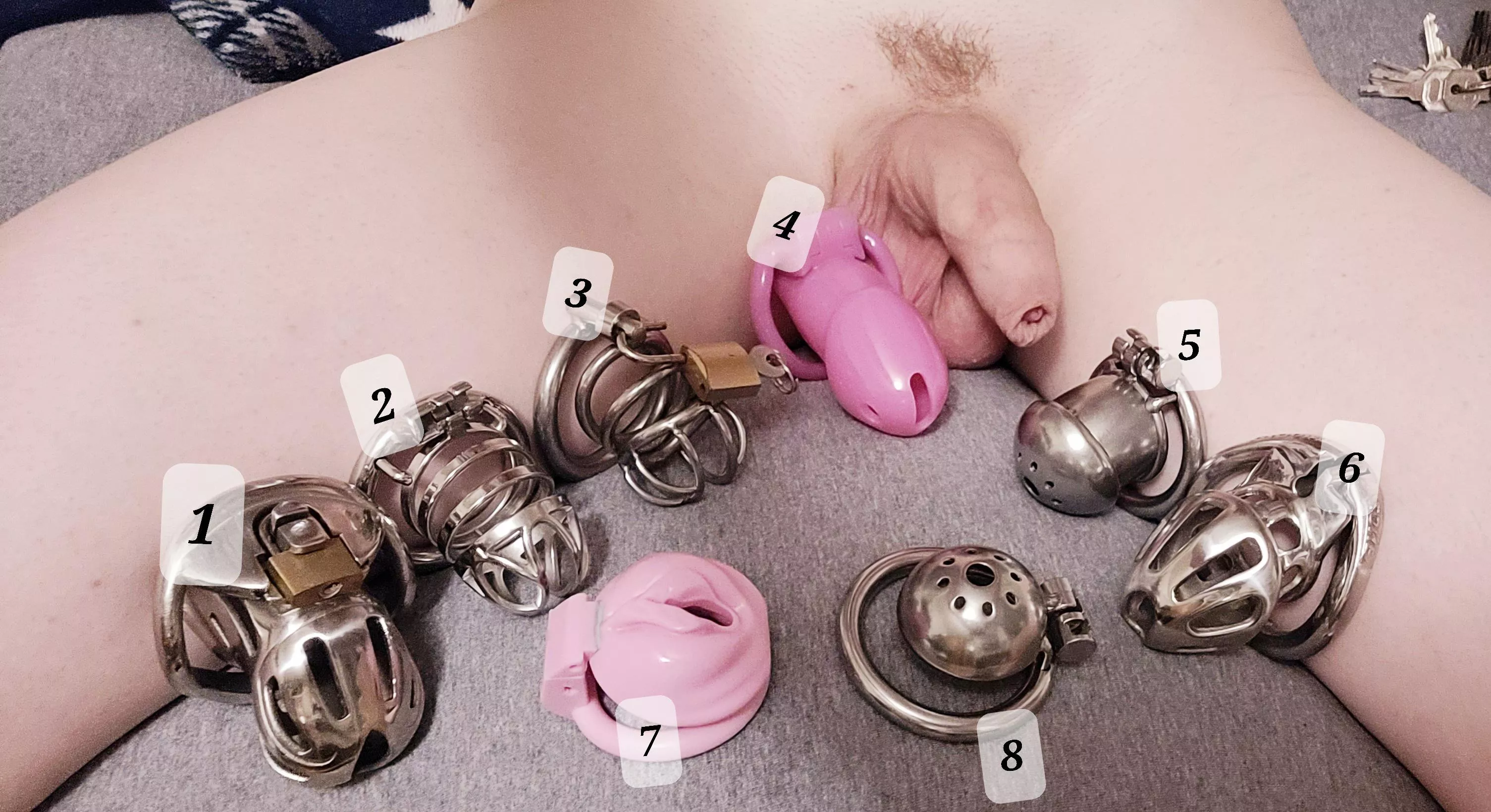 Which cage should I use the entire next week?