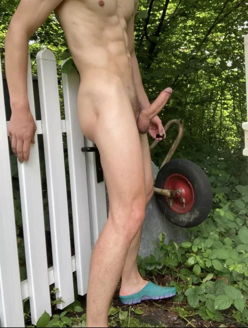 Who can suck me in the backyard?