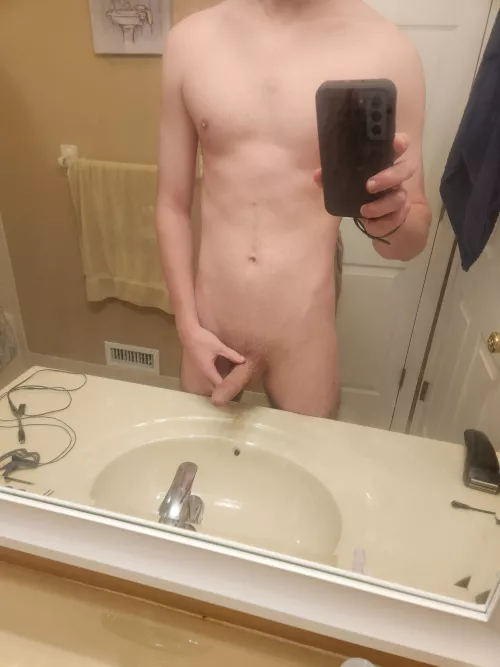 24 M Philadelphia, Newer Bull