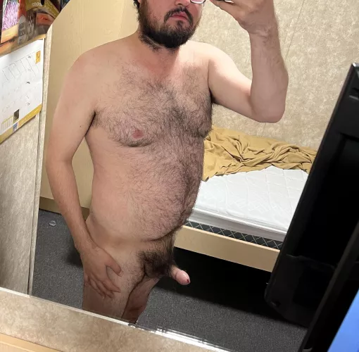 29 yo pervy bear. DMs open