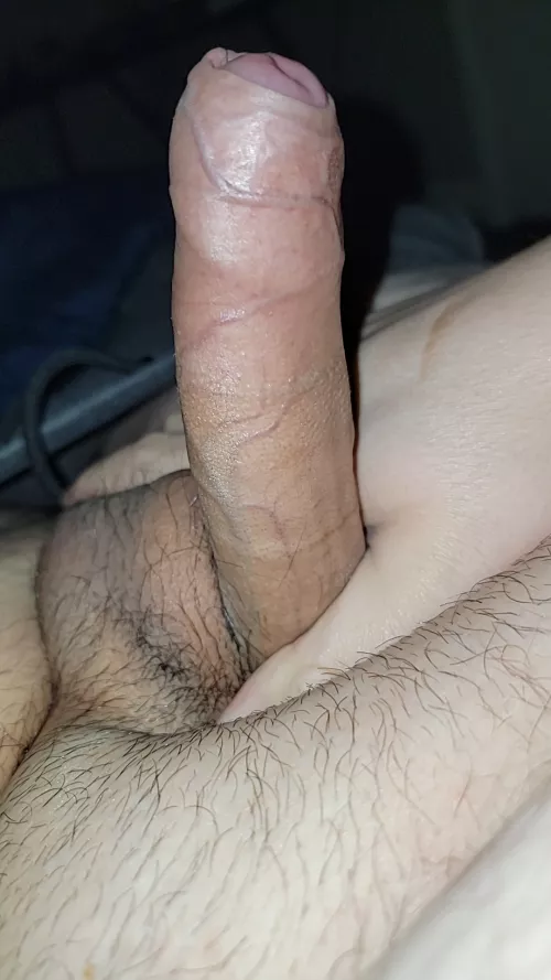 29M up late and bored