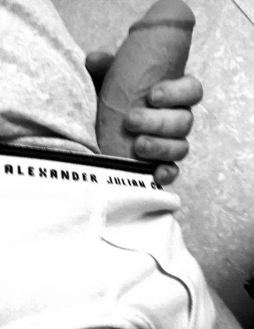 Alexander Julian briefs