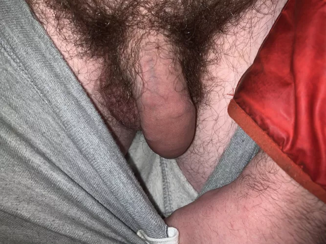 Aussie bush 🇦🇺