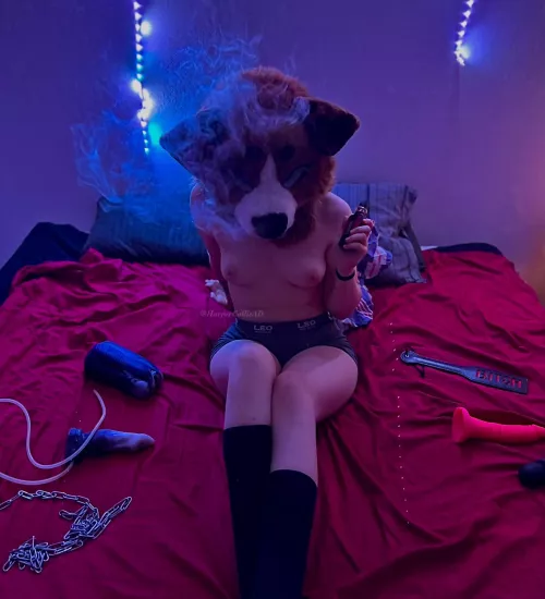 Been having lots of fun taking these pics~ follow my AD twitter to see more!~🔥 @HarperCollieAD