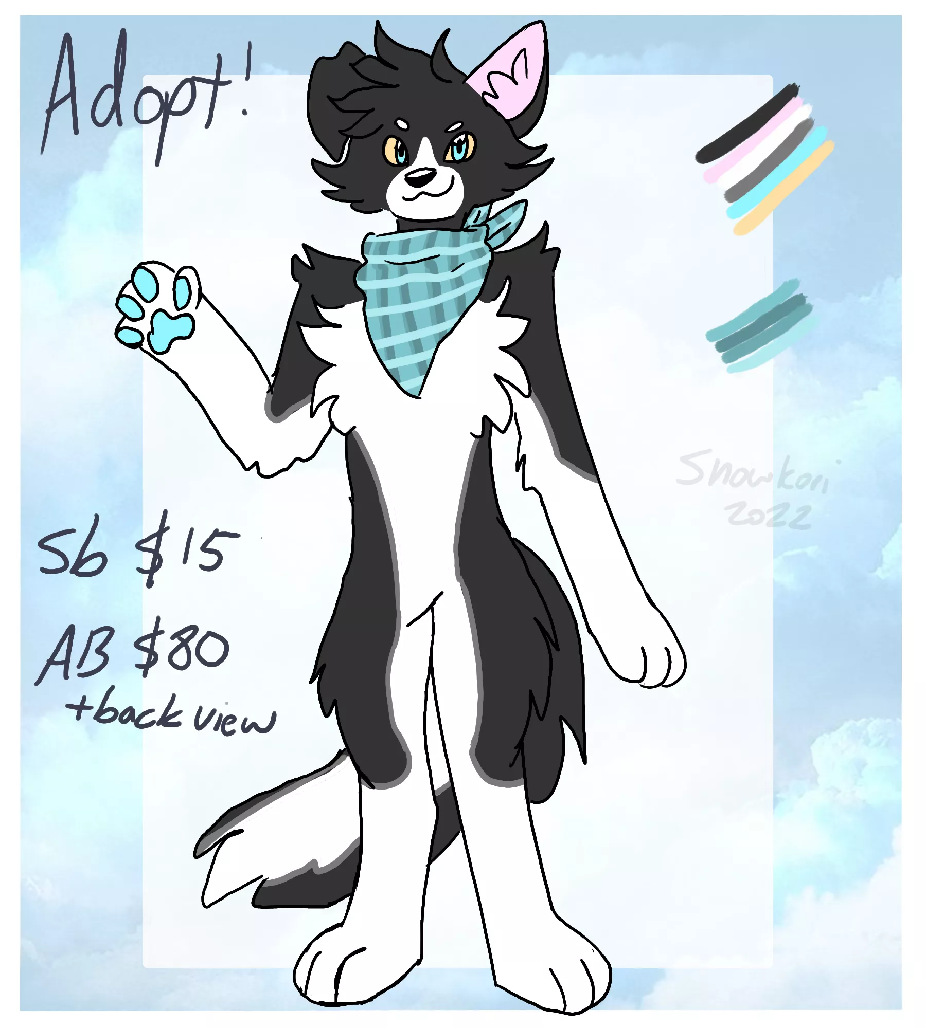 Border collie adopt !! He is looking for a home 💙
