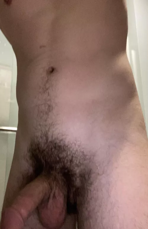 Bush is definitely starting to get thicker again. Hope you all like it.