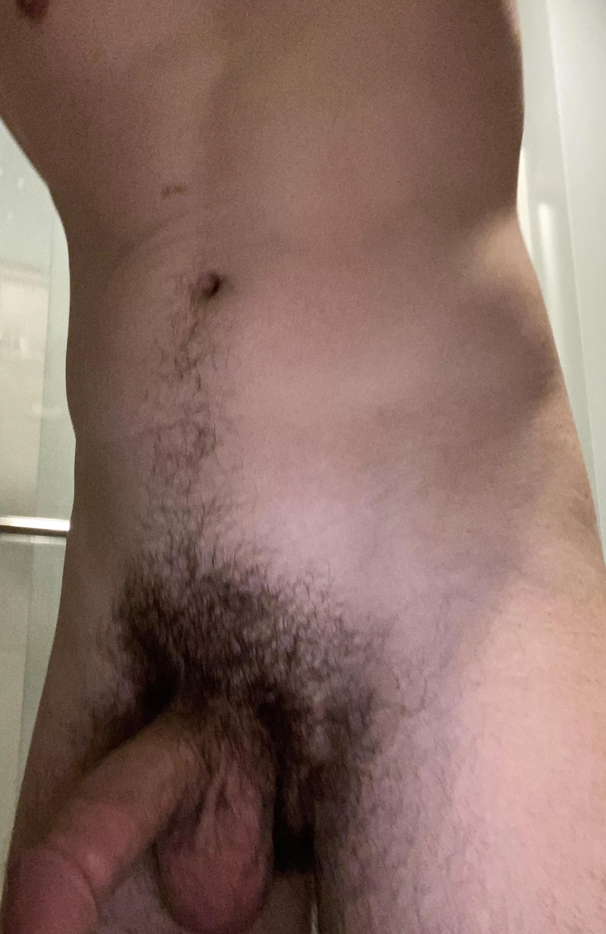 Bush is definitely starting to get thicker again. Hope you all like it.