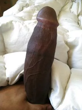 come bounce on this big fucking cock