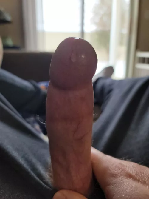 Dripping on lunch break