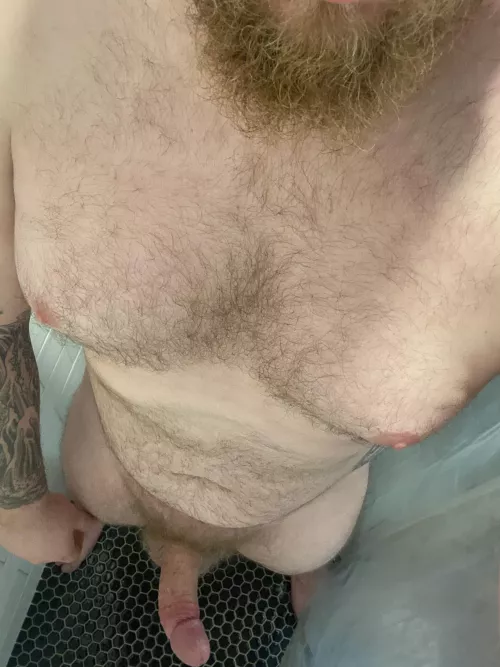 Hairy and Chubby ok?