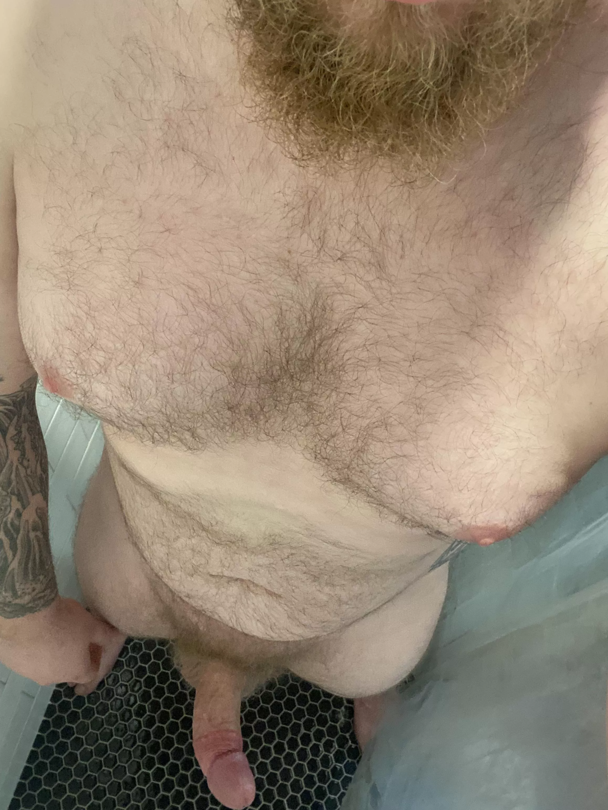 Hairy and Chubby ok?