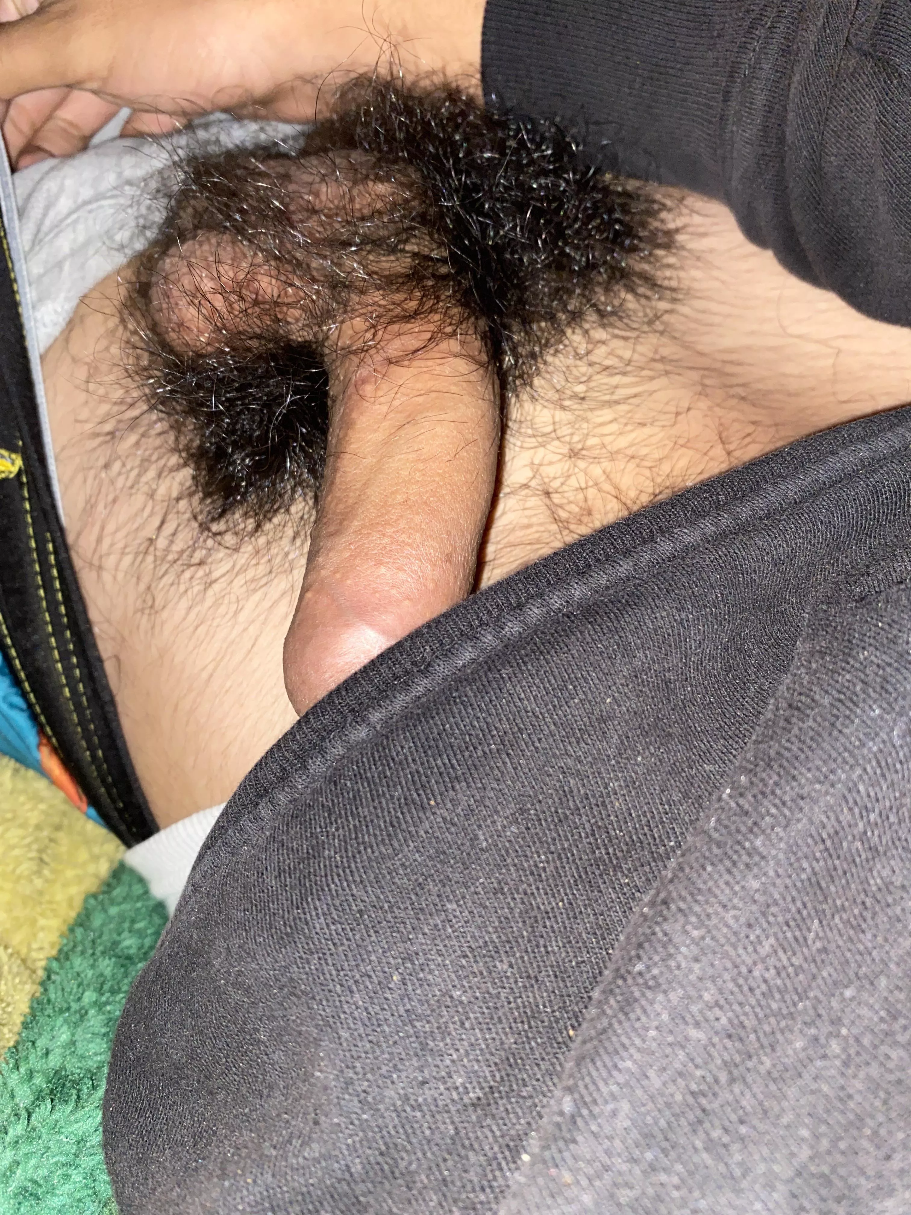 Hairy balls! Would anyone like to pm?