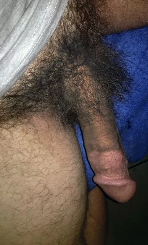 Hairy Scary Penis