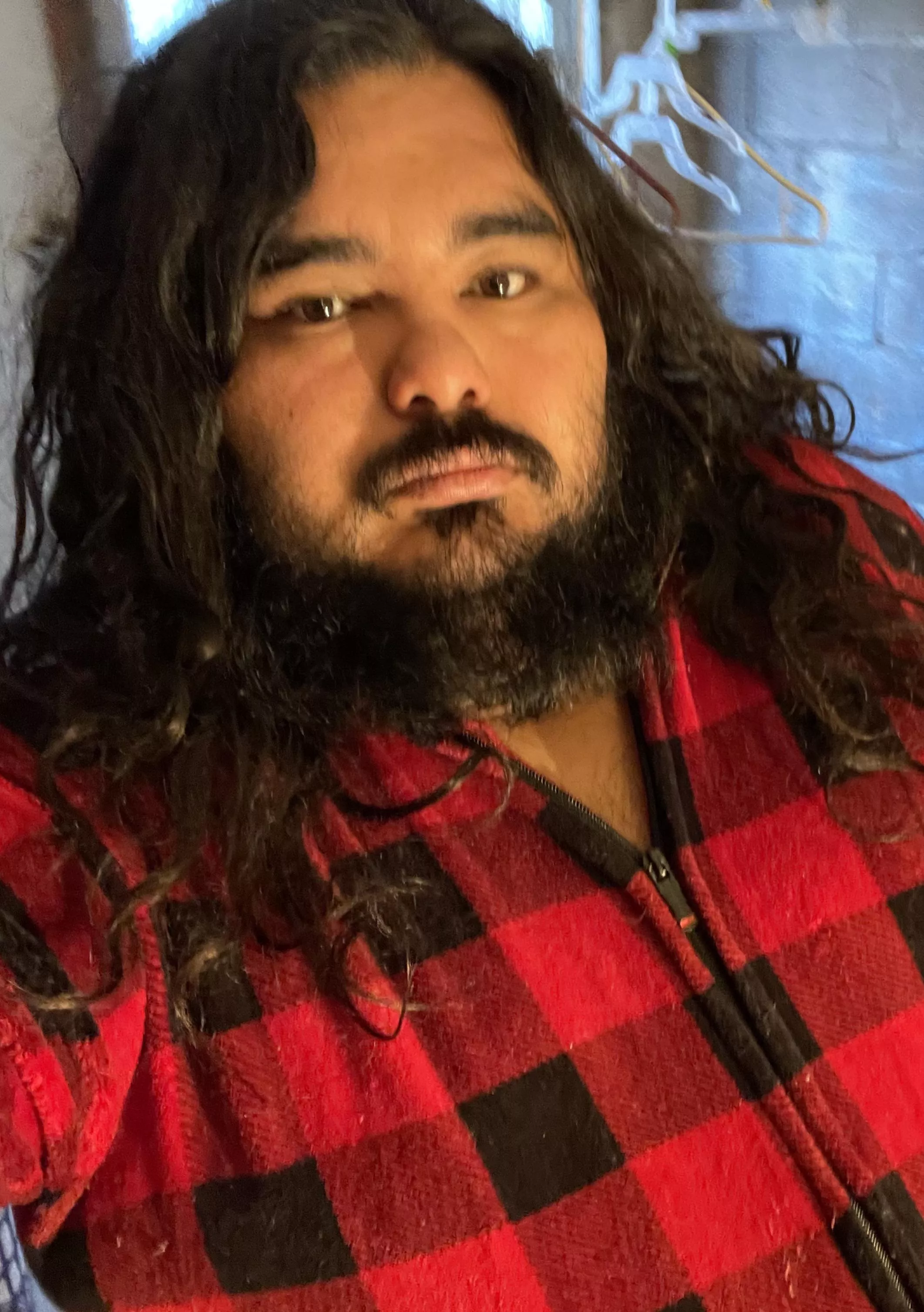 Hey there! Handsome bears 🐻