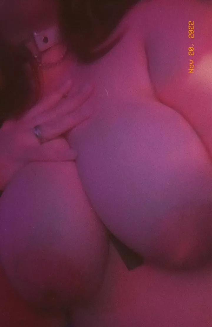 I think they look bigger today, what do you think?