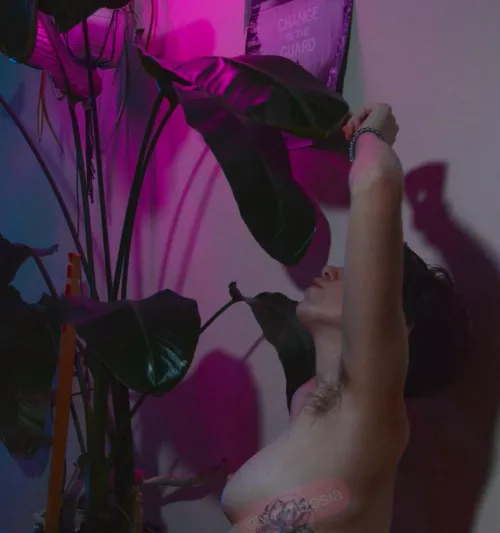 I wanna go hang out in the forest sooooo bad