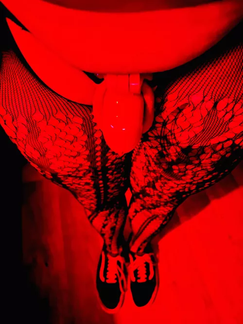 I want to try a smaller cage ☺️