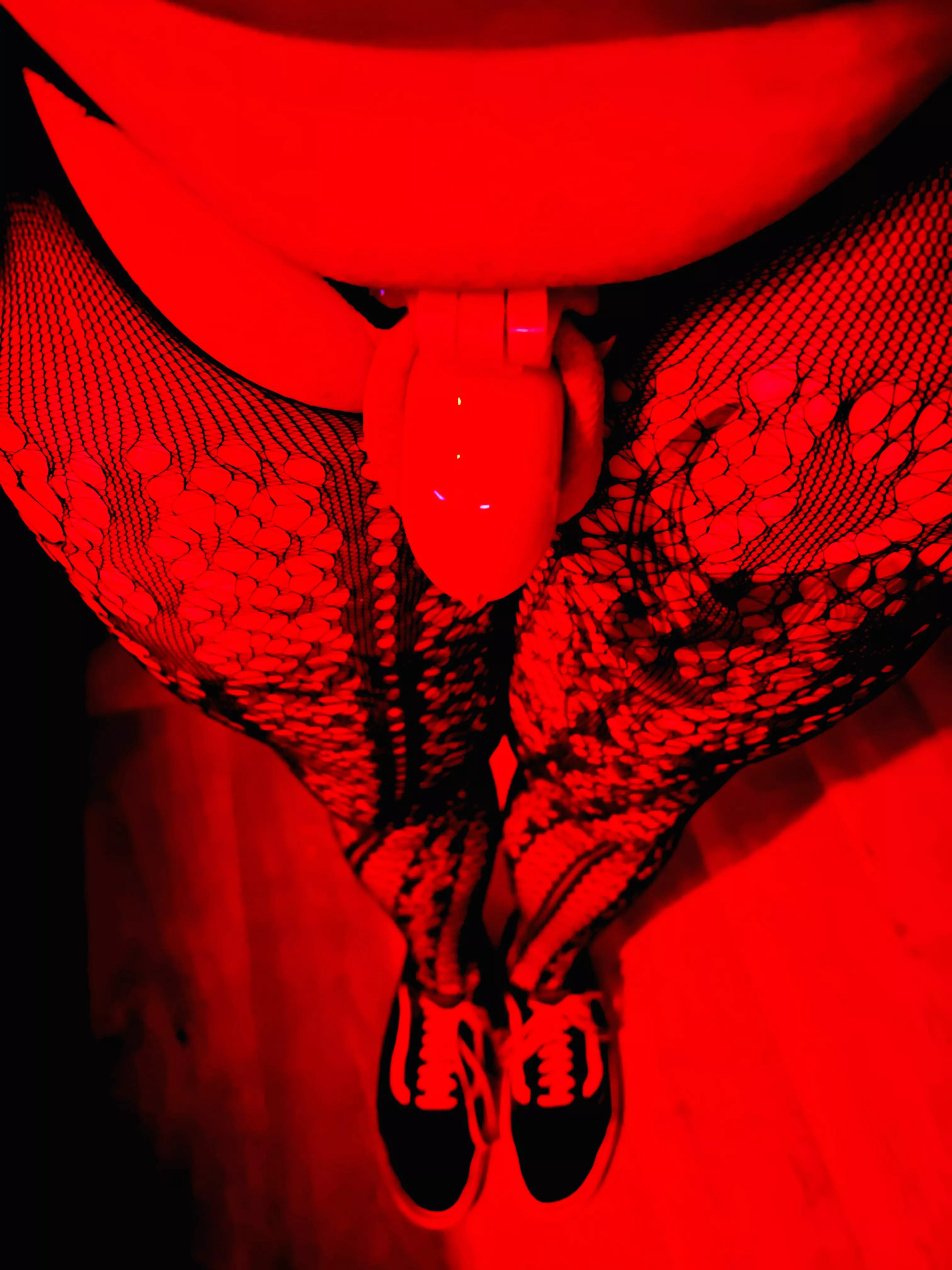 I want to try a smaller cage ☺️