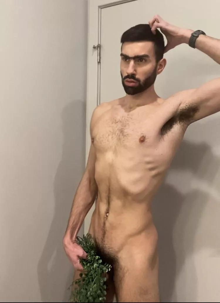 I wonder if Adam covered his bush with a bush