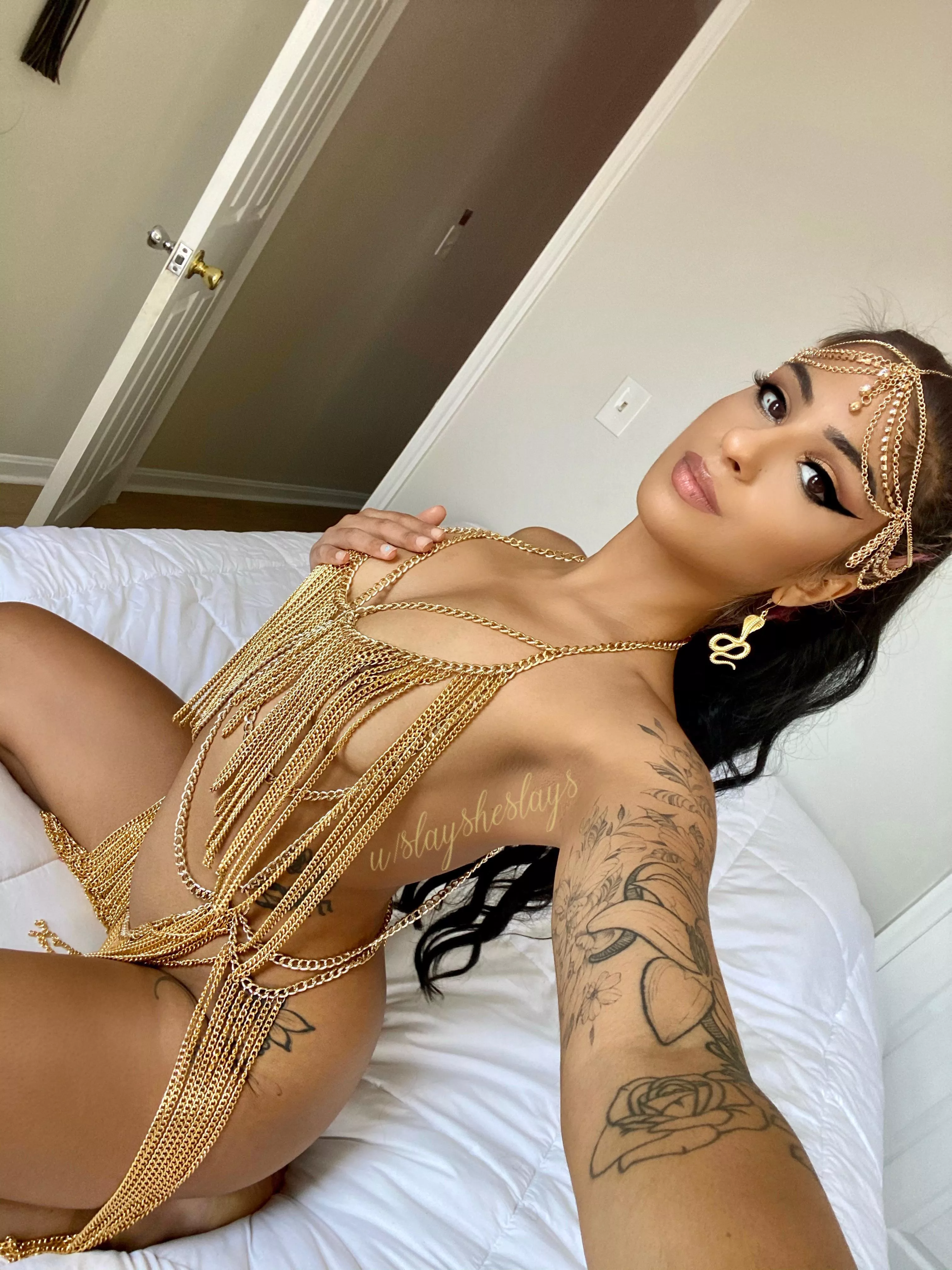 In need of a new throne, is your face occupied? ✨