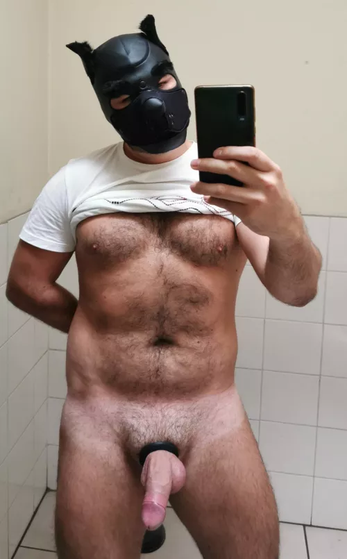 let me be your pup 🐶🐾