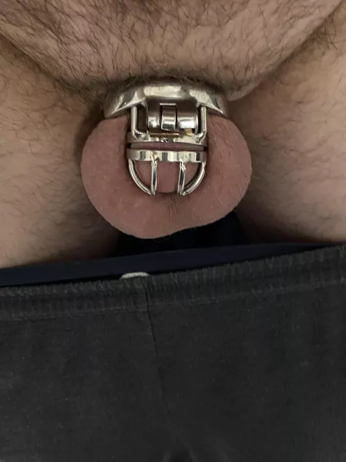 Locked and ready for the day. Can’t recall last orgasm but need one soon. Miss someone else in control of me locking up