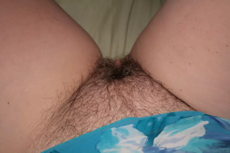 Looking down at my hairy pussy