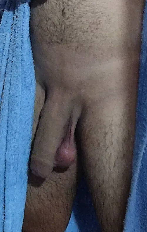 my huge soft horsecock