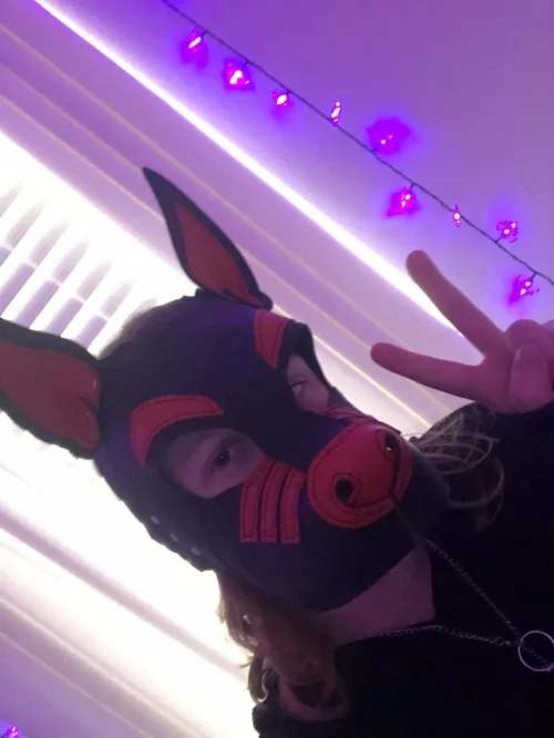 My new hood from Scrap Yard Leather finally came!