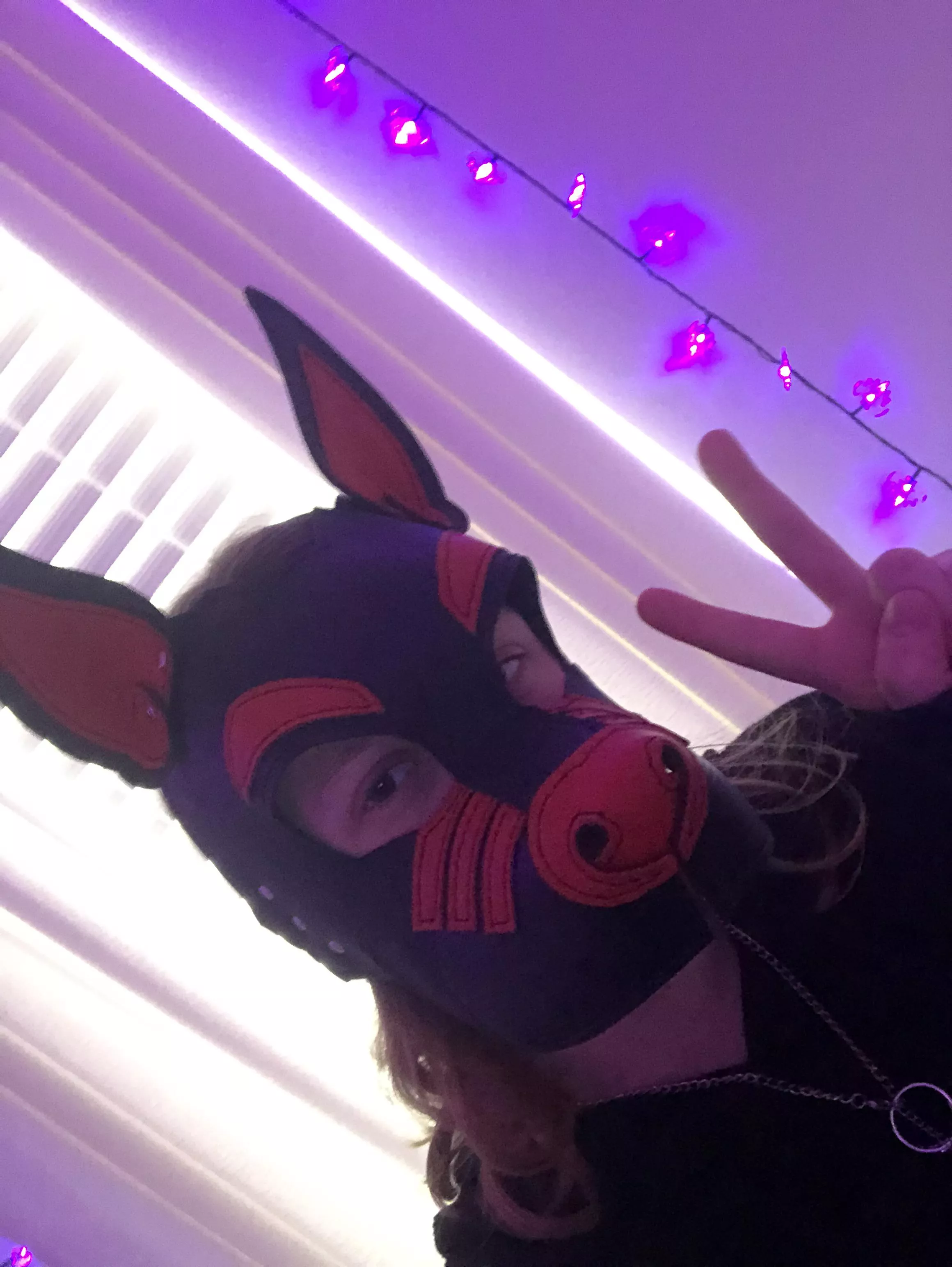 My new hood from Scrap Yard Leather finally came!