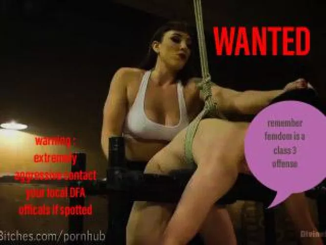 Project Hippolyta: a minor brush with the DFA