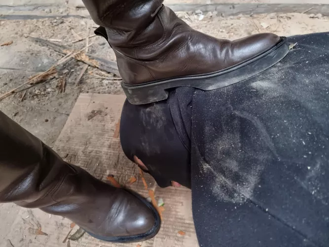 Resting after meal 🐶💤