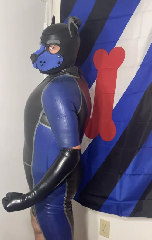 Rubber puppy go squeak