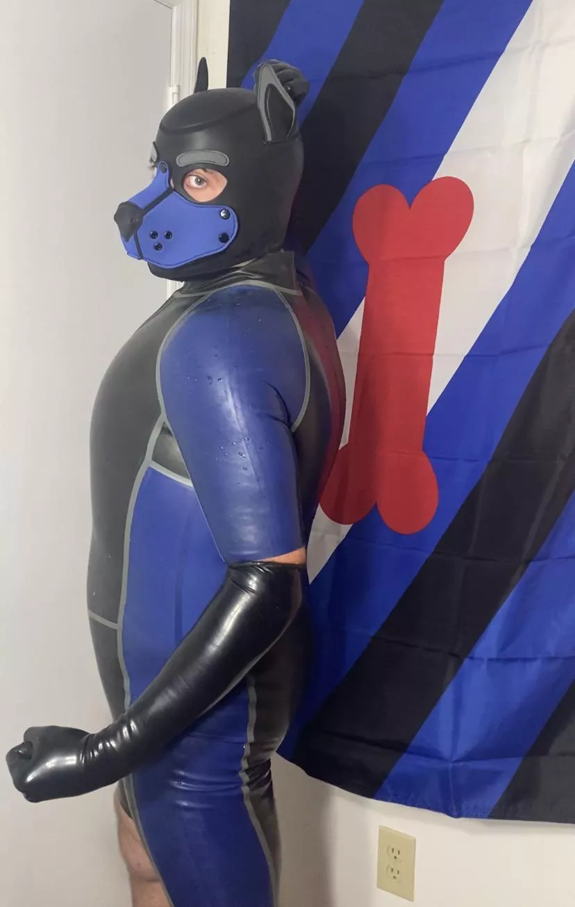 Rubber puppy go squeak