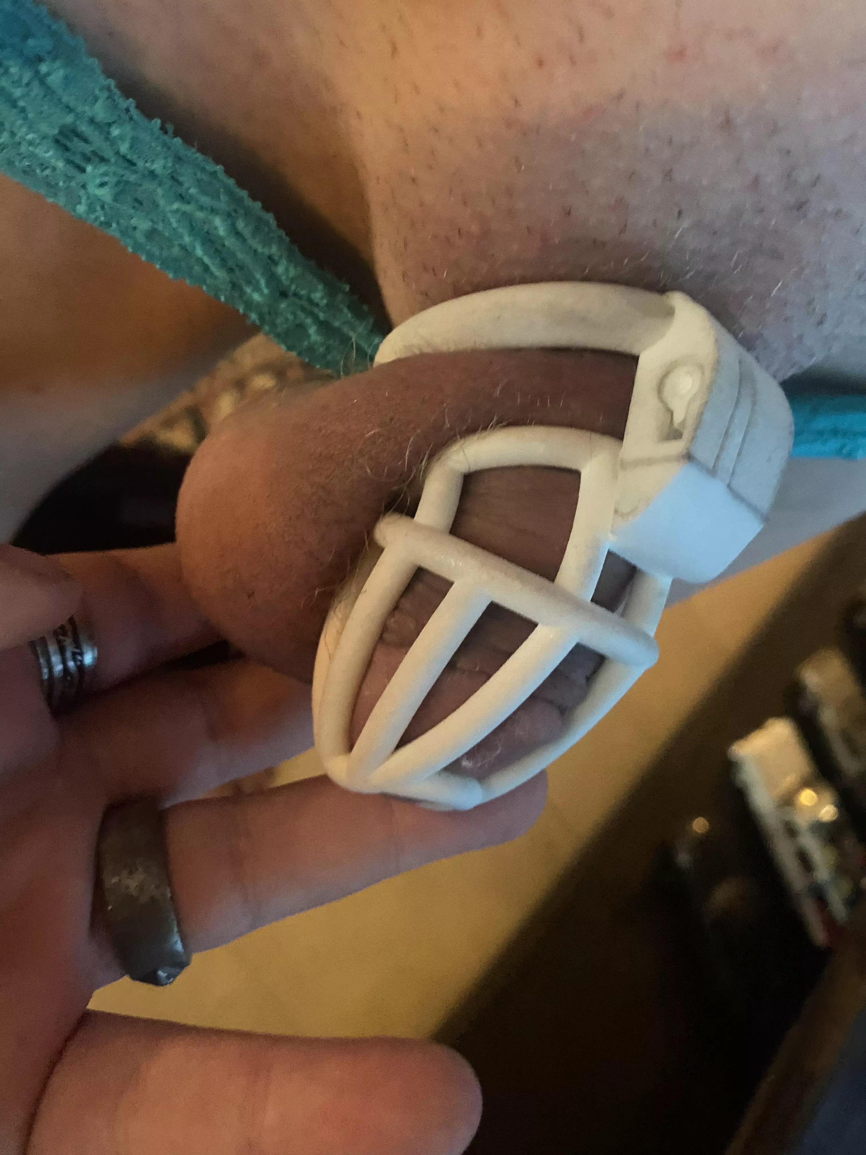 So cute, my boys caged forever!