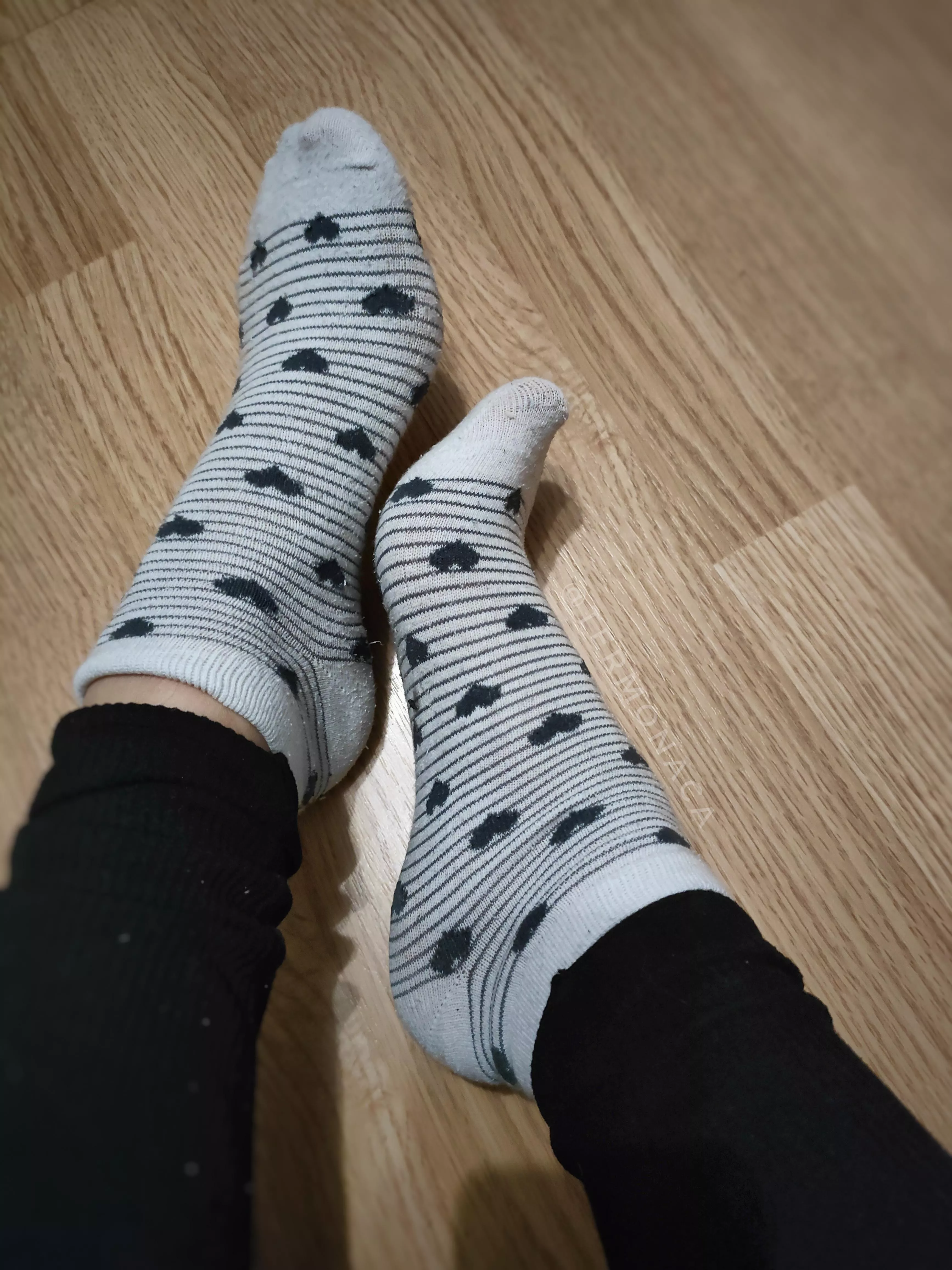 today socks