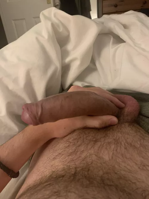 What a glorious morning glory.