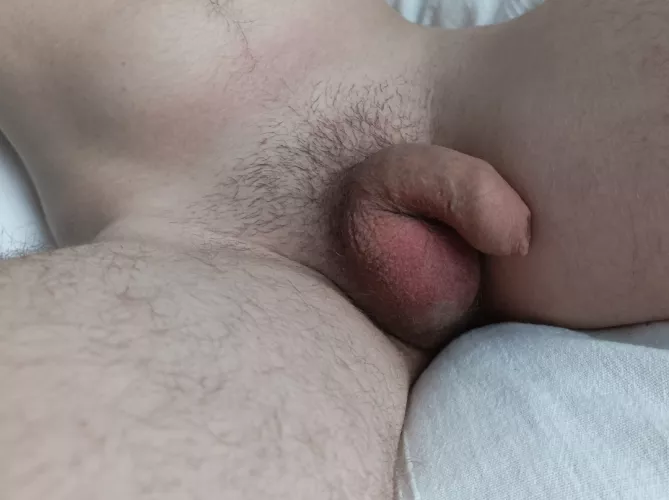 Would you have fun with this?