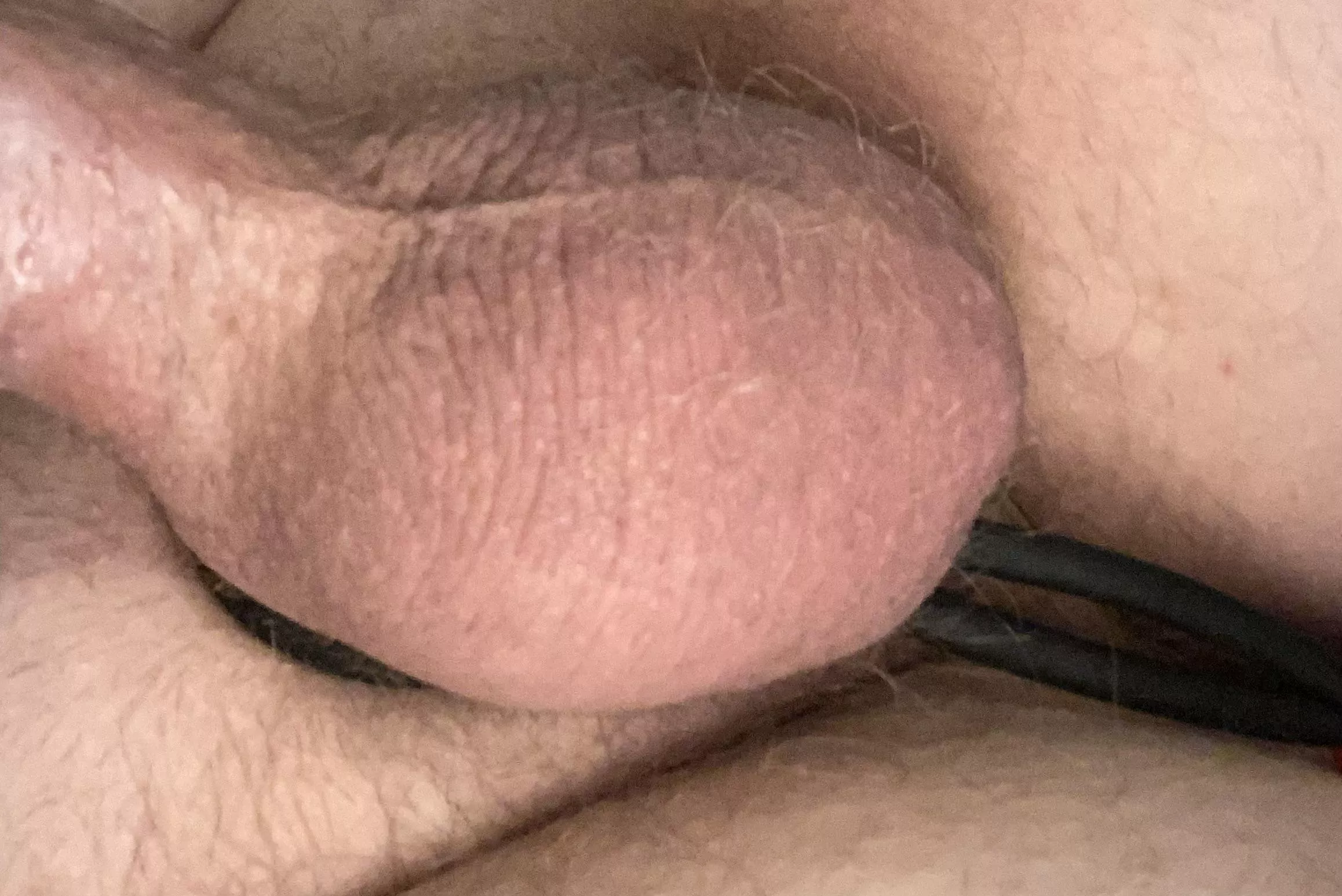 You would believe how many loads these balls have shot over the last 3 days 😈