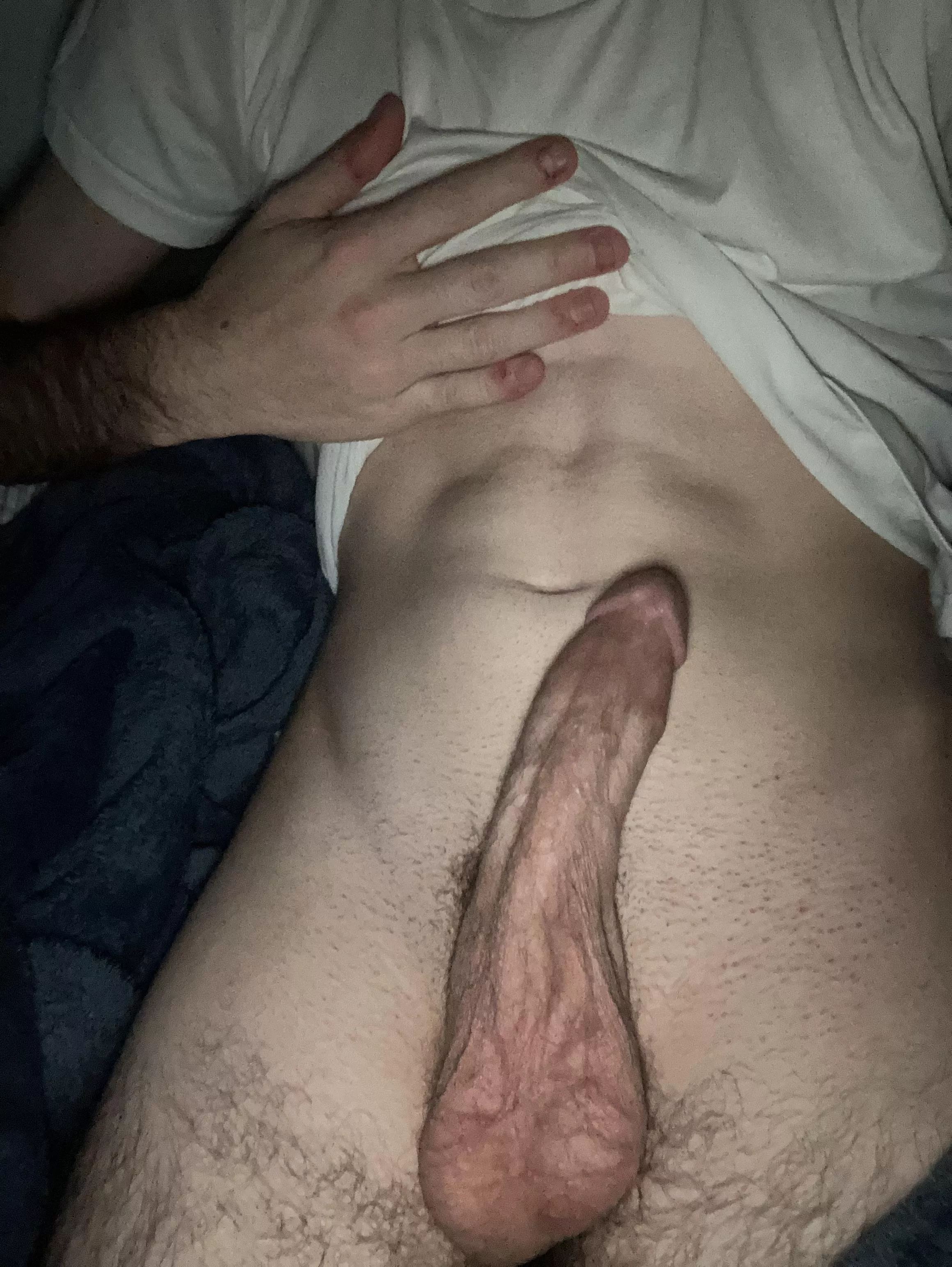 Young cock (22)