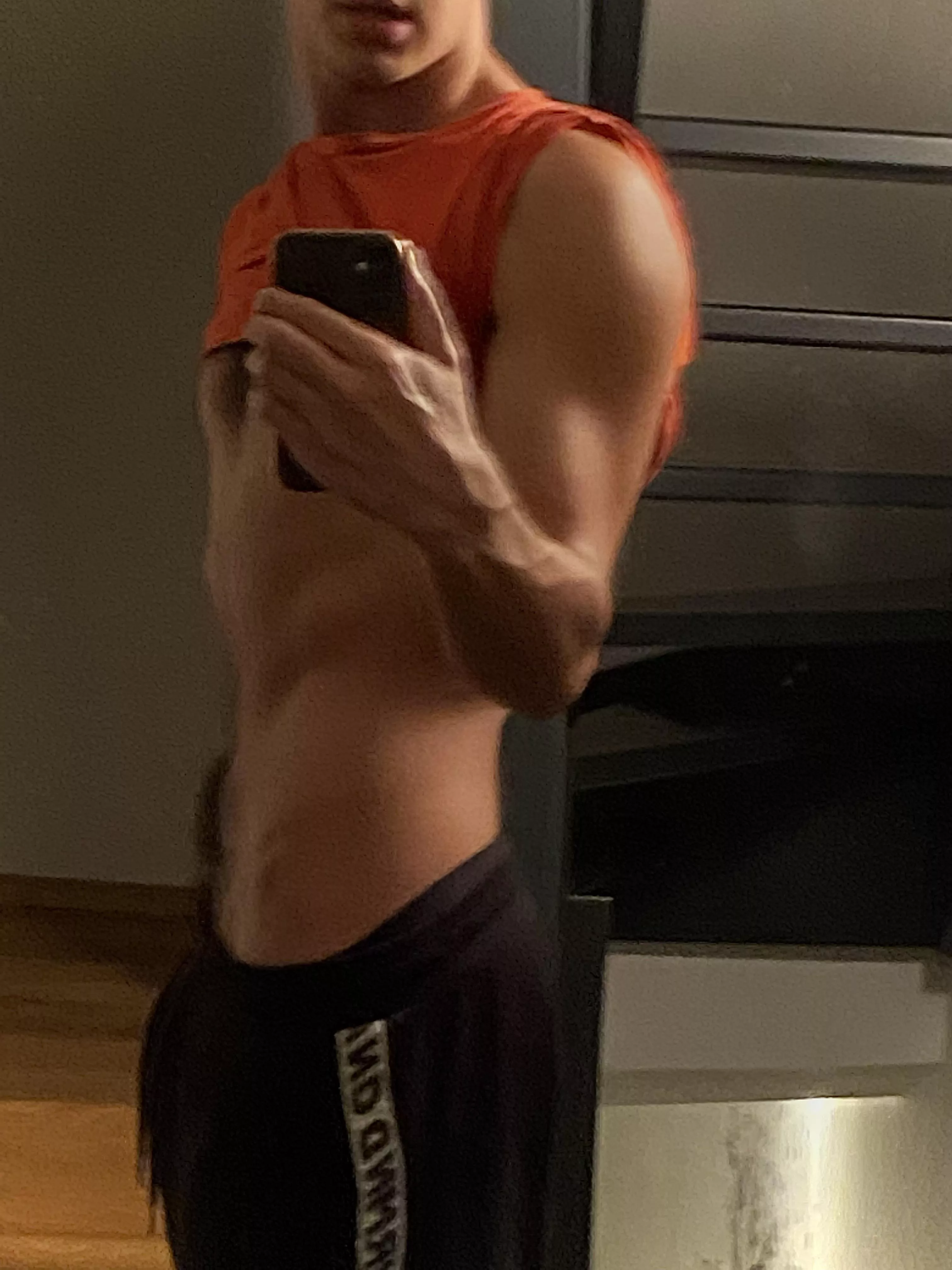 (20) can I breed you bro ?