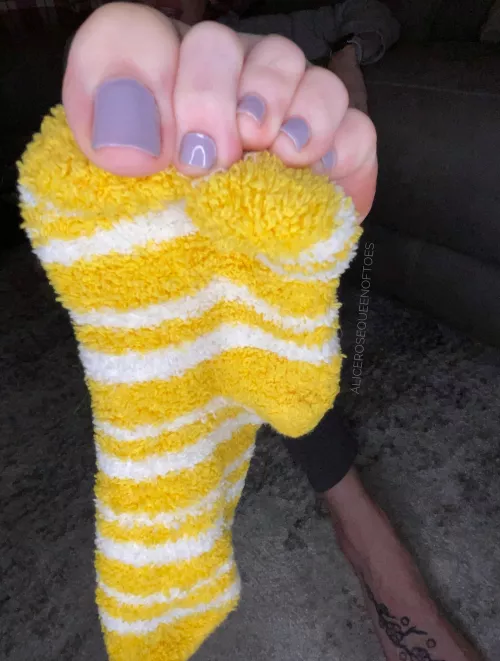 Are you going for my toes or my sock first?🤔