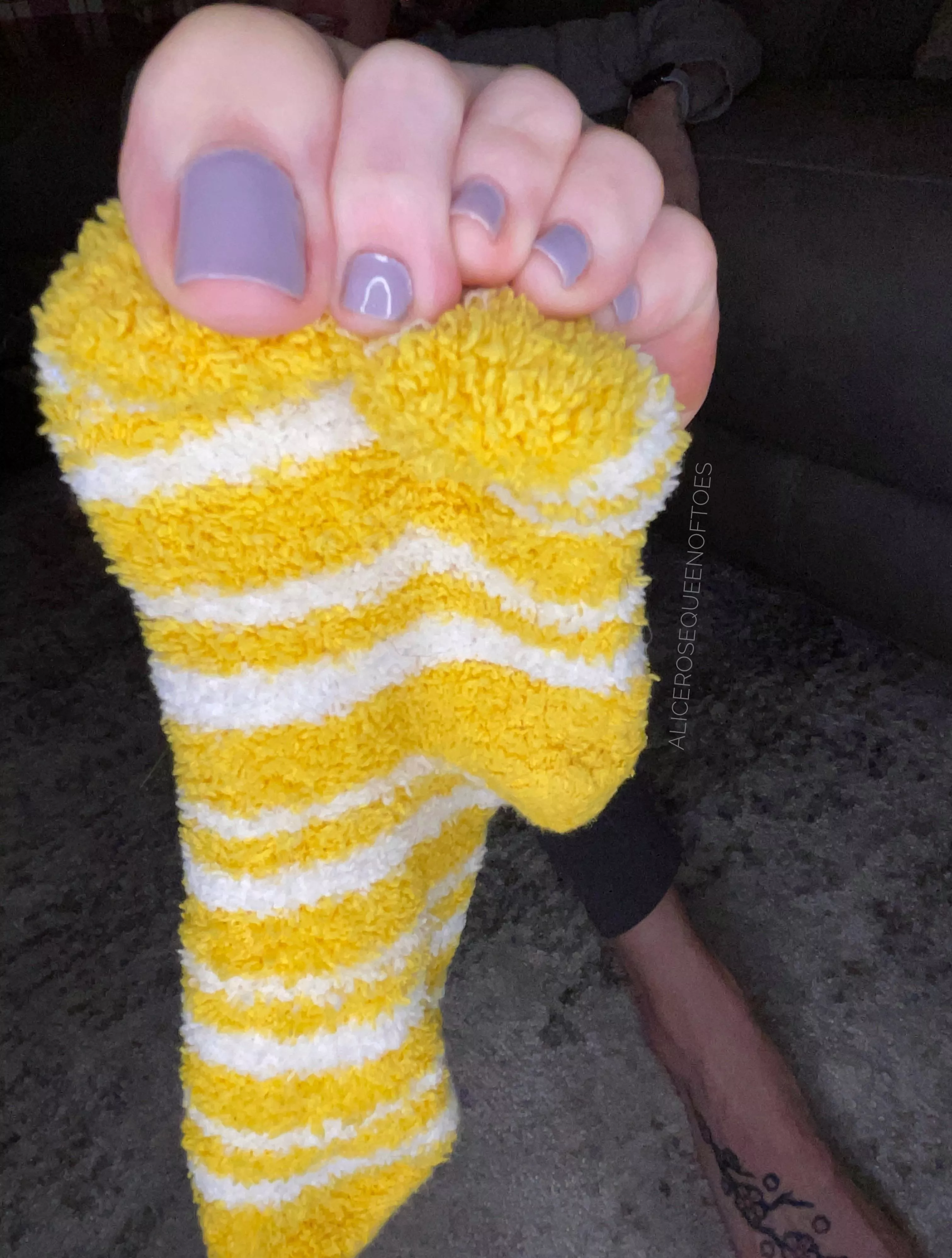 Are you going for my toes or my sock first?🤔