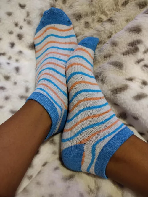 Cum get a sniff of my sweaty socks. worn by a petite Caribbean beauty.
