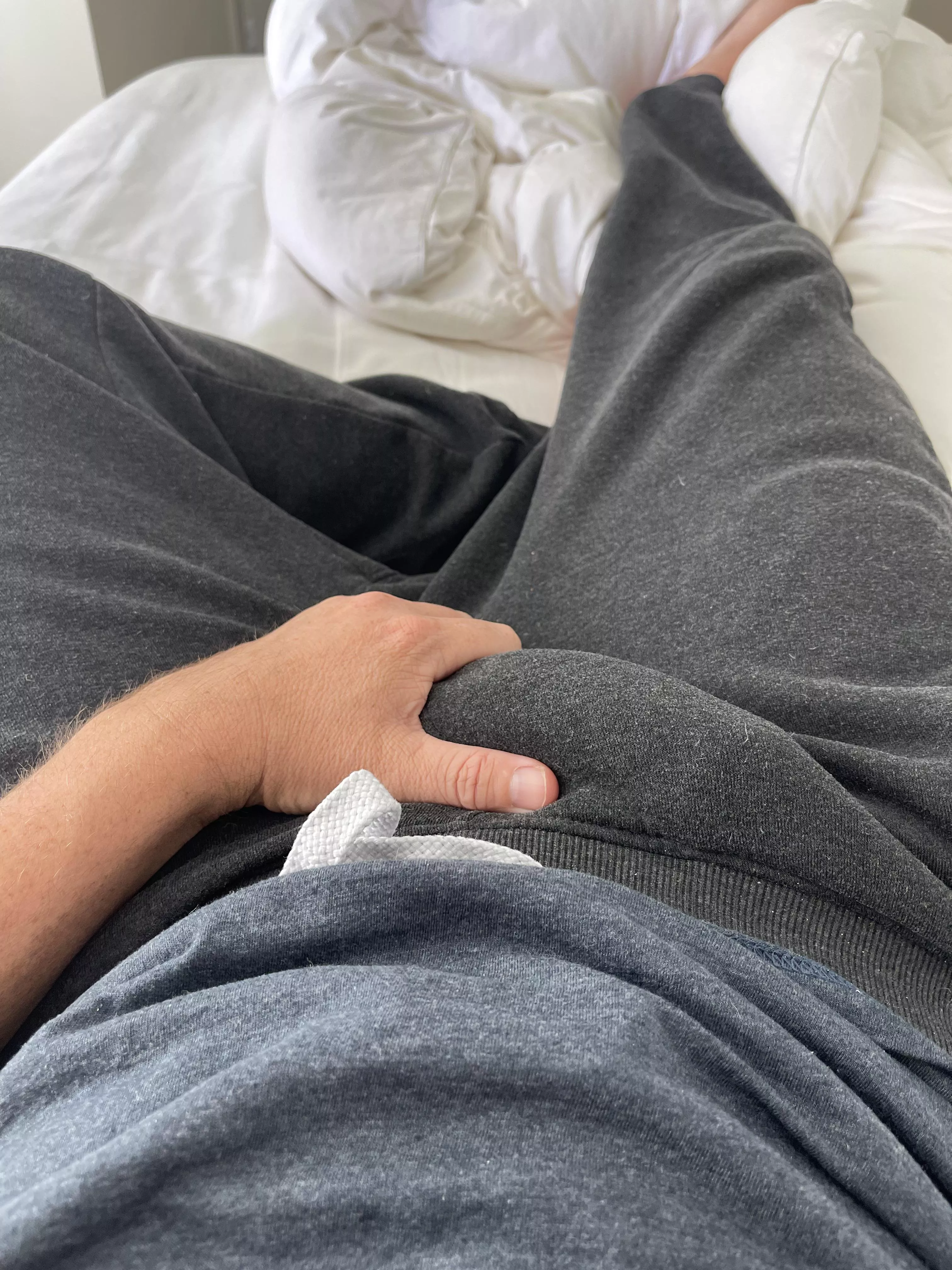 Enjoying a moment of calm this morning before the Thanksgiving house guests arrive