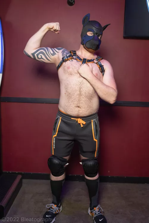 Happy Tummy Tuesday puppers! :)